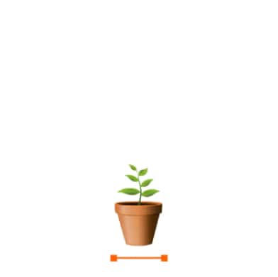 Plant Pots - The Home Depot